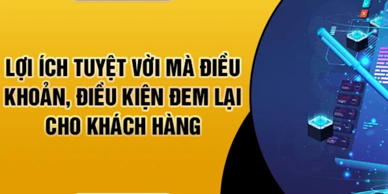 Điều khoản sử dụng 8KBET là thông tin quan trọng bạn cần nắm